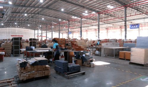 項(xiàng)目攻堅(jiān)在行動(dòng) 5年內(nèi)可實(shí)現(xiàn)產(chǎn)值13億元 武平這個(gè)智慧工廠二期即將投入使用