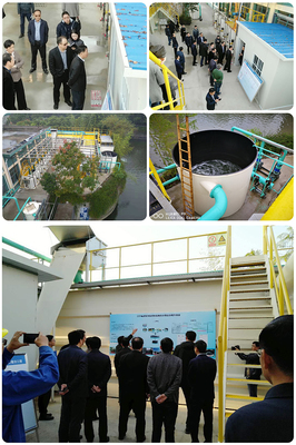 市委常委、區委書記李世貴一行考察我司江寧泵站污水凈化提升項目