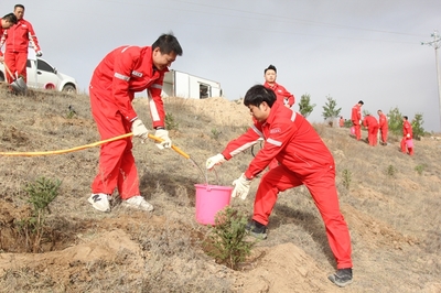長慶油田采油七廠 企地共建“同心林”，科技賦能綠色發展